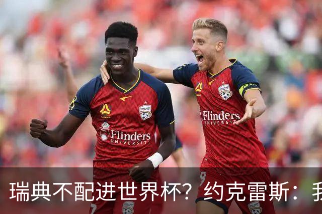 瑞典不配进世界杯？约克雷斯：我们凭实力进的，首战就5-1赢了